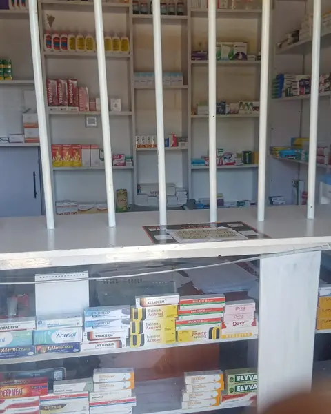 The service counter at Chetu Chemist with medicine shelves behind