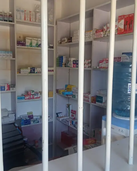 Dispensing shelves at Chetu Chemist, stocked and organised by category