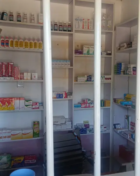 Inside Chetu Chemist, looking across the dispensing counter to the stocked shelves